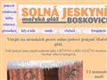 http://www.solnaboskovice.cz